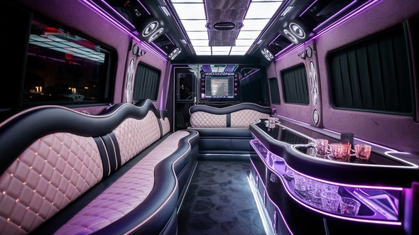 dearborn sprinter limo rental inside